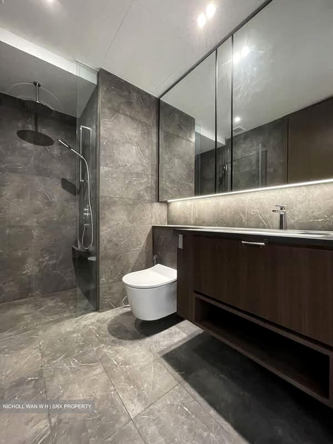 Kopar At Newton (D9), Apartment #572736131